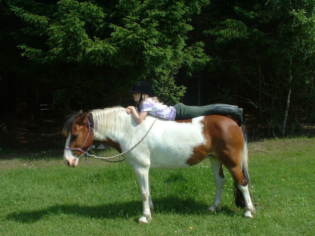 Relationen - autentisk horsemanship